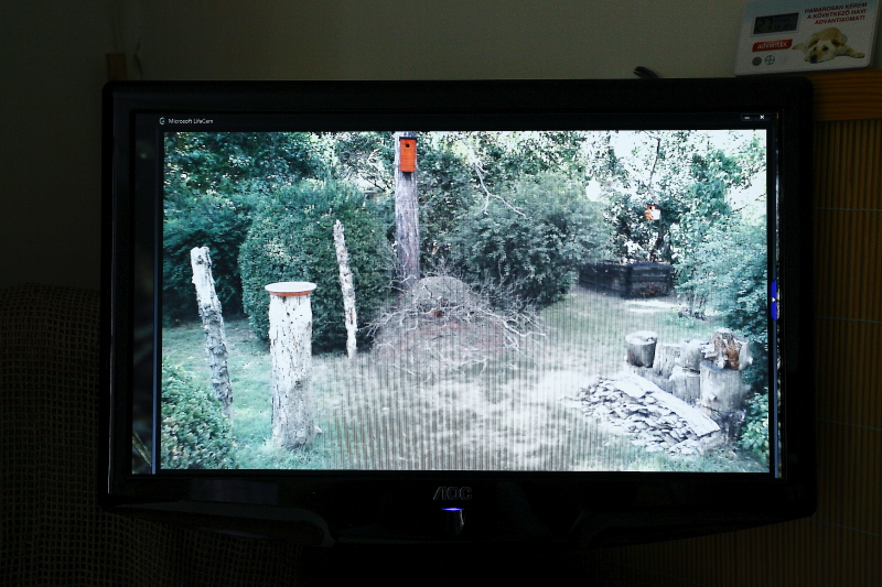 Madárbarát kertre néző PC-kamera képe második monitoron megjelenítve (Fotó: Orbán Zoltán).