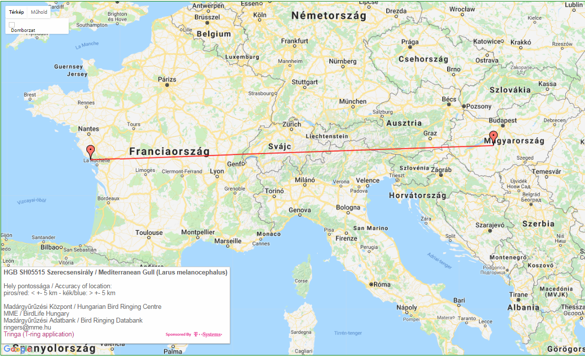 Magyar gyűrűs szerecsensirály megkerülési térképe (Madárgyűrűzési Adatbank)