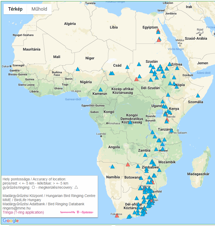 Afrikai gólyamegkerülések (Madárgyűrűzési Központ)