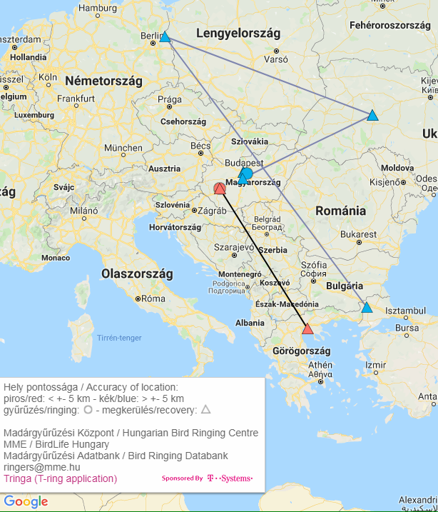 Magyar gyűrűs bütykös hattyú megkerülési térképe (Madárgyűrűzési Központ)