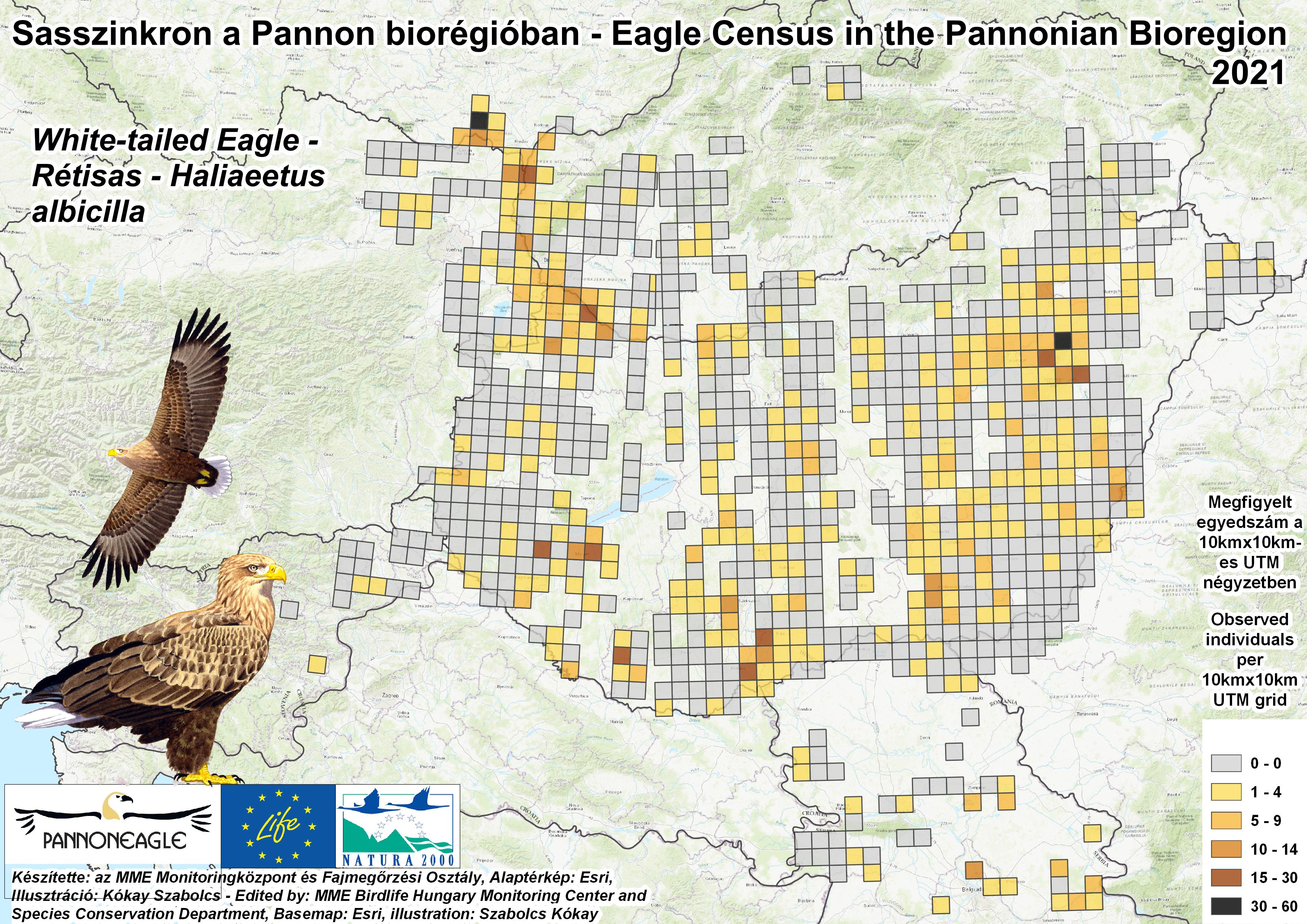 Rétisasok megfigyelési adatai a a Pannon-régióban (Forrás: MME Monitoring Központ)