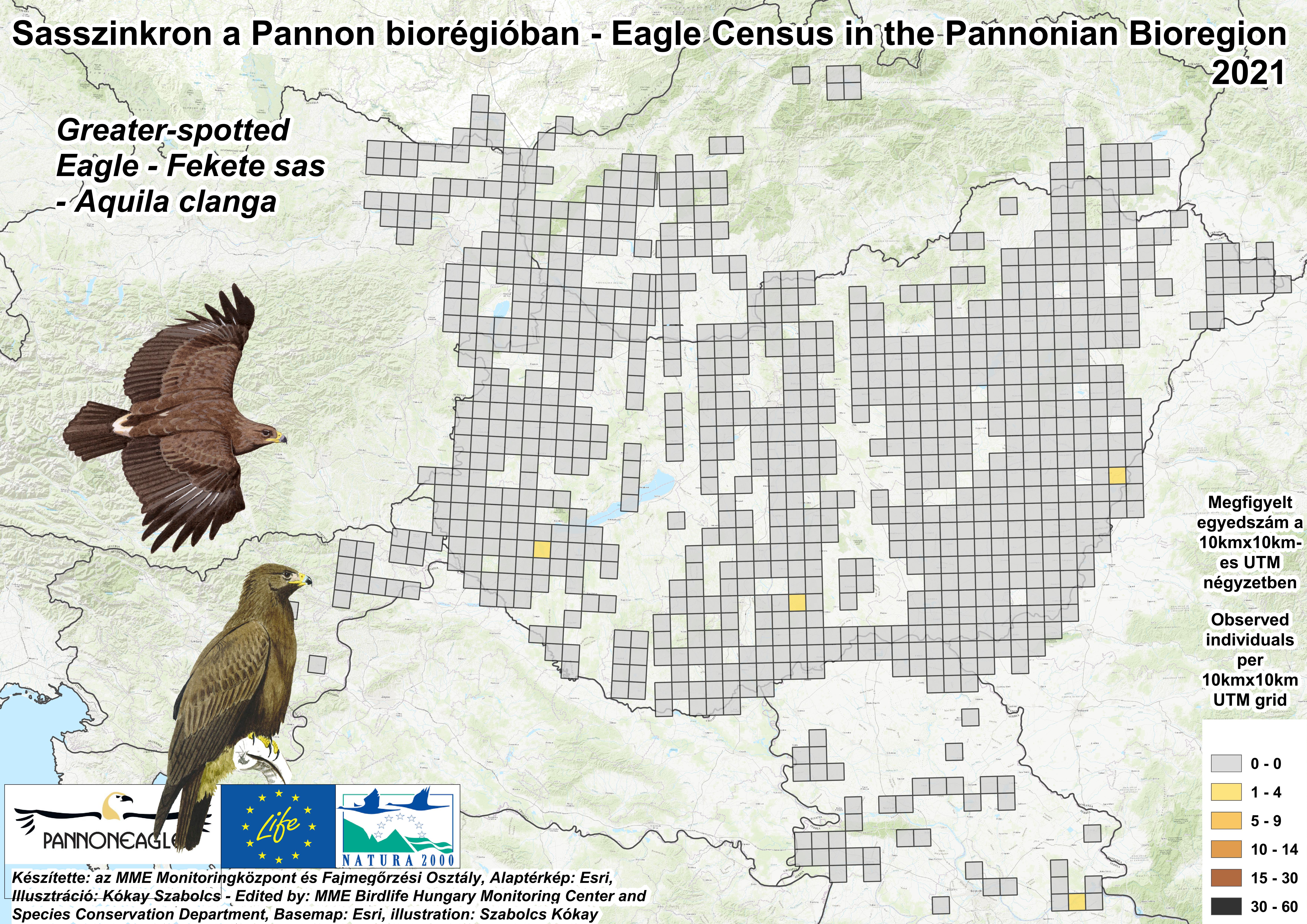 Fekete sasok megfigyelési adatai a a Pannon-régióban (Forrás: MME Monitoring Központ)