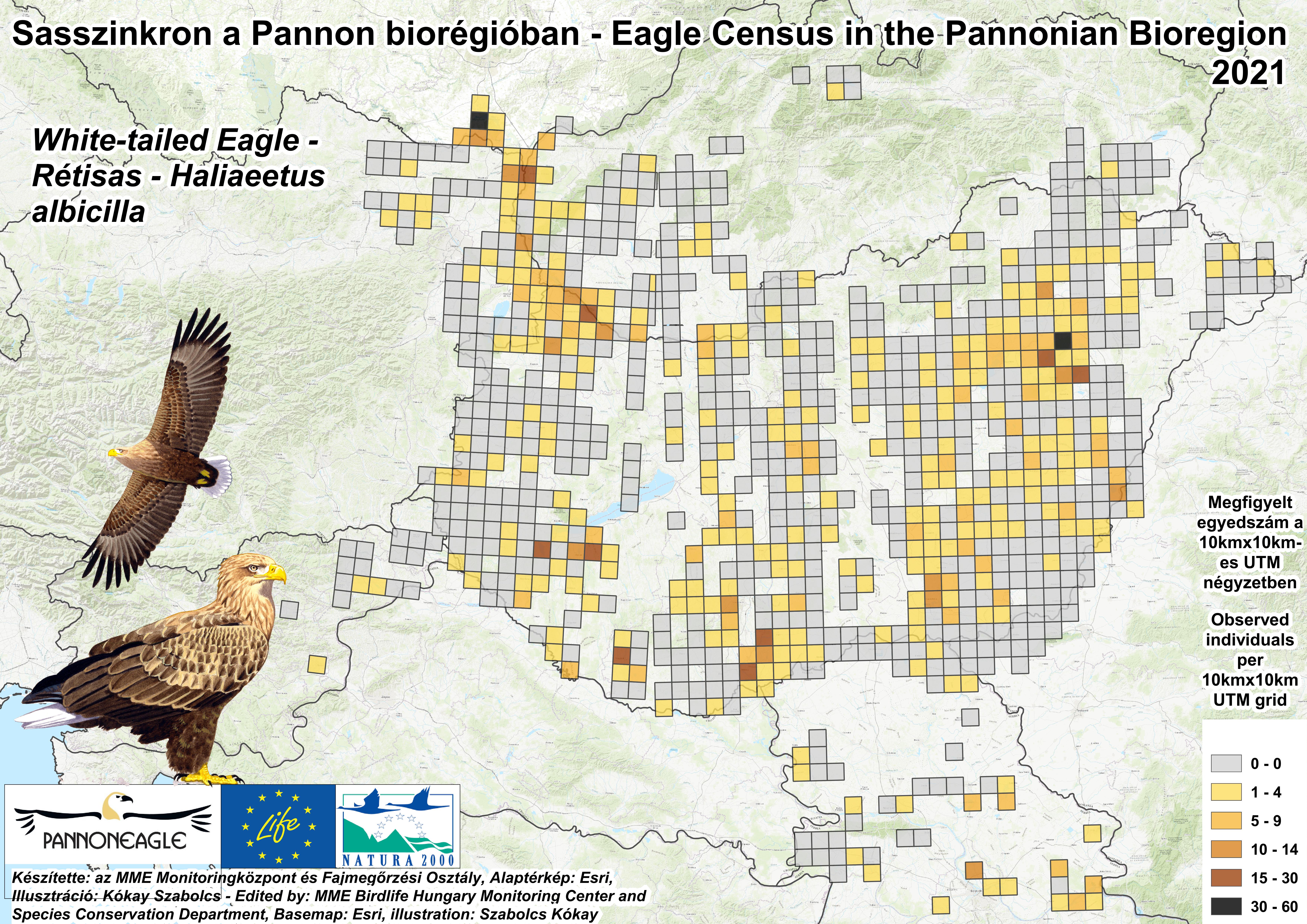 Rétisasok megfigyelési adatai a a Pannon-régióban (Forrás: MME Monitoring Központ)