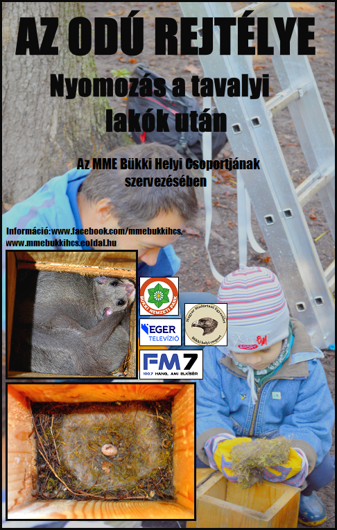 Az odú rejtélye - nyomozás a tavalyi lakók után! Az odú rejtélye - nyomozás a tavalyi lakók után!