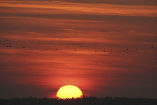 naplemente (fotó: Orbán Zoltán)
