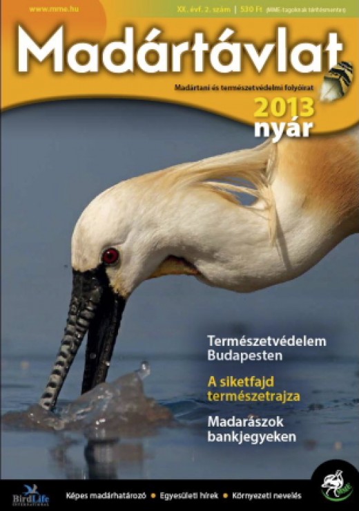 Az MME Madártávlat magazin 2013. évi nyári számának címlapja.