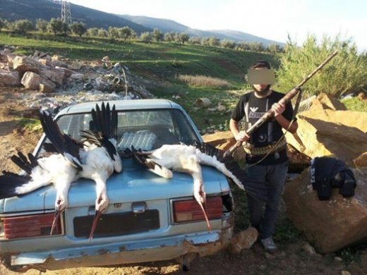 Egy, a Facebookra feltöltött képek közül, mely a gólyamészárlást ábrázolja