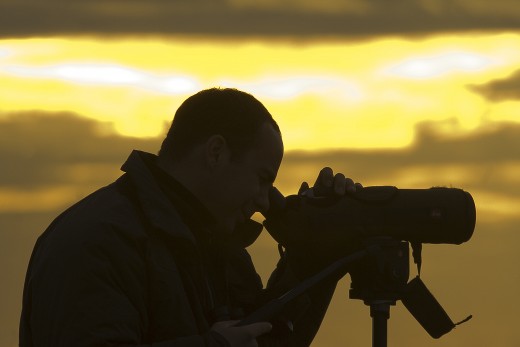 Teleszkópos madármegfigyelés (Fotó: Orbán Zoltán).
