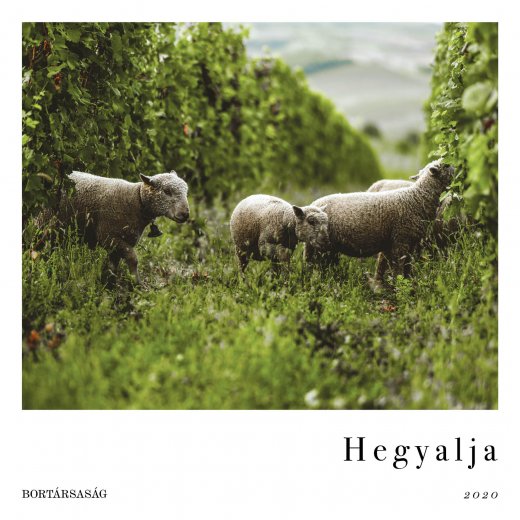 Hegyalja 2020 - Magazin borról, emberről Bortársaság Hegyalja 2020. magazin
