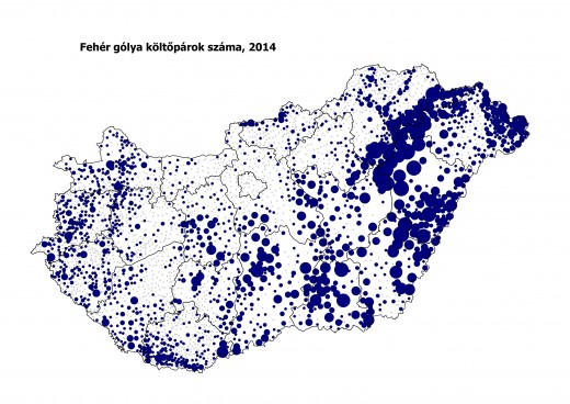 A fészkelő fehérgólya-állomány területi eloszlása Magyarországon a 2014. évi felmérés adatai alapján (Forrás: MME Monitoring Központ).