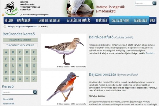 Részlet az MME "Magyarország madarai" honlapfelületéről (www.mme.hu/magyarorszagmadarai) Részlet az MME "Magyarország madarai" honlapfelületéről (www.mme.hu/magyarorszagmadarai)