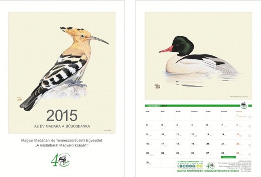 Az MME 2015. évi falinaptára a címlappal és november hónappal (Grafikák: Kókay Szabolcs). Az MME 2015. évi falinaptára a címlappal és november hónappal (Grafikák: Kókay Szabolcs).