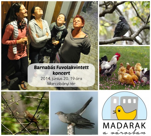Barnabás Fuvolakvintett és A madarak (Ottorino Respighi) Barnabás Fuvolakvintett és A madarak (Ottorino Respighi)