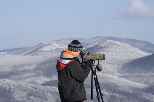 Téli madármegfigyelés (Fotó: Orbán Zoltán).