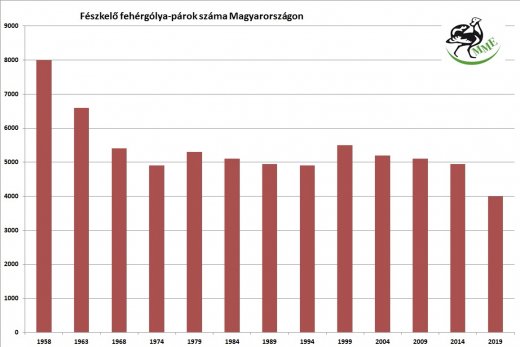 A fehér gólya fészkelő állományának alakulása Magyarországon 1958-2019 között (Forrás: MME Monitoring Központ)