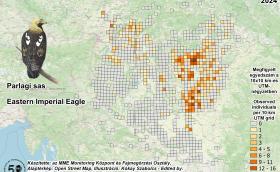 Parlagi sasok megfigyelési adatai a Pannon-régióban 2024. január 12-15. között (forrás: MME Monitoring Központ)