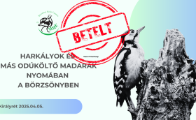 odúköltők nyomában esemény