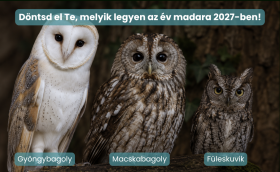 év madara szavazás 2027