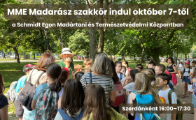 szakkör