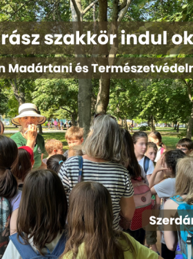 szakkör