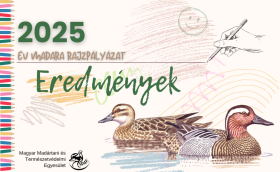 2025_rajzpalyazat_eredmenyek