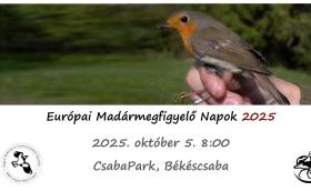 Európai Madármegfigyelő Napok - CsabaPark