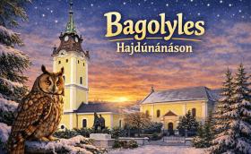 Erdei fülesbagoly 