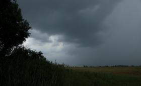 gyep_taj_Apaj_2011_Orban_Zoltan_0004.jpg