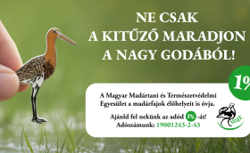 Ne csak a kitűző maradjon belőle! Ajánld fel 1%-od!