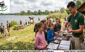 Madárgyűrűzési bemutató a Naplás-tónál (CES 7.)