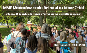 szakkör
