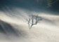 Köd (Fotó: Kerékgyártó Róbert)