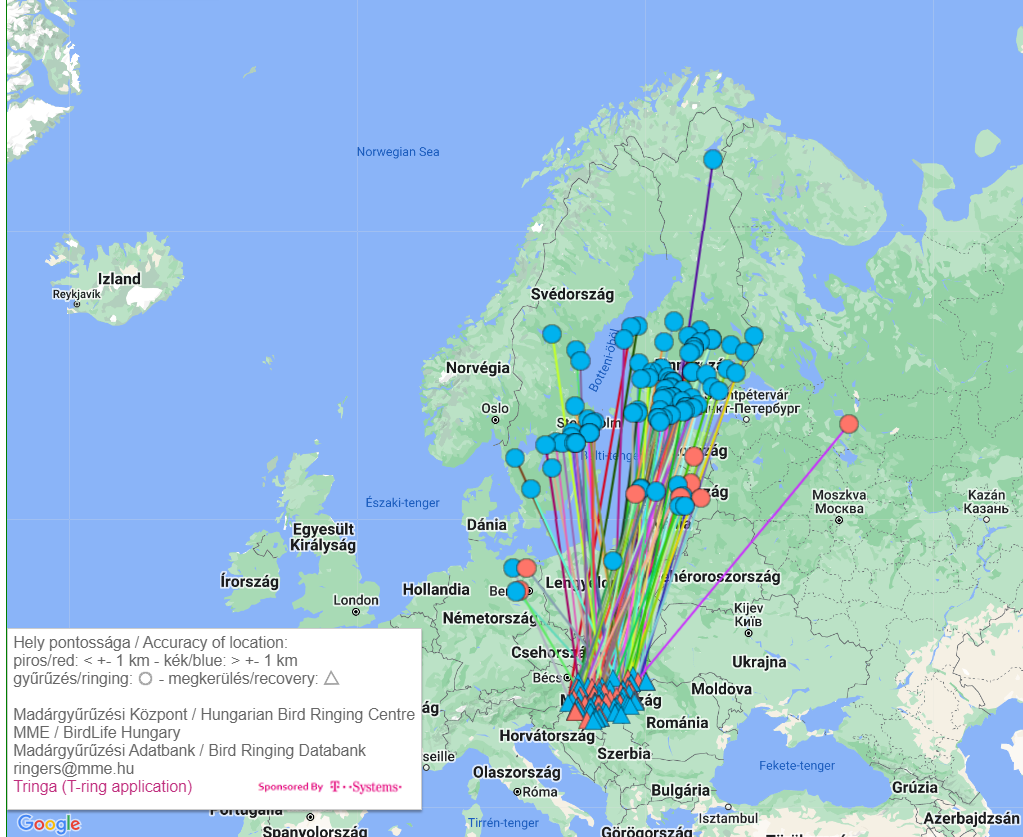 Magyarországon megkerült, külföldi gyűrűs halászsasok megkerülési térképe (Madárgyűrűzési Központ)