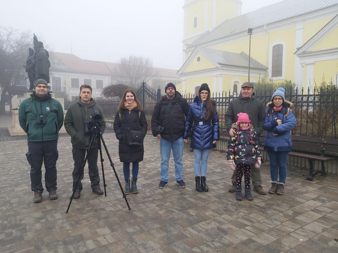 Bagolyszámlálás