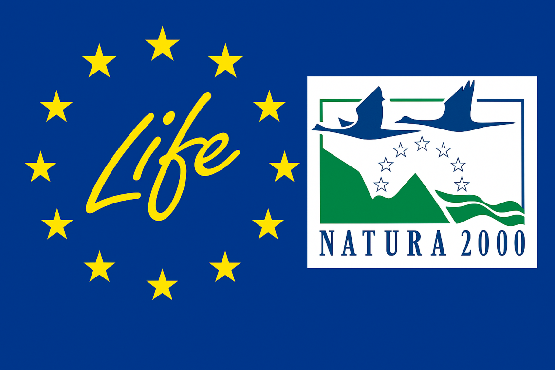 LIFE logó