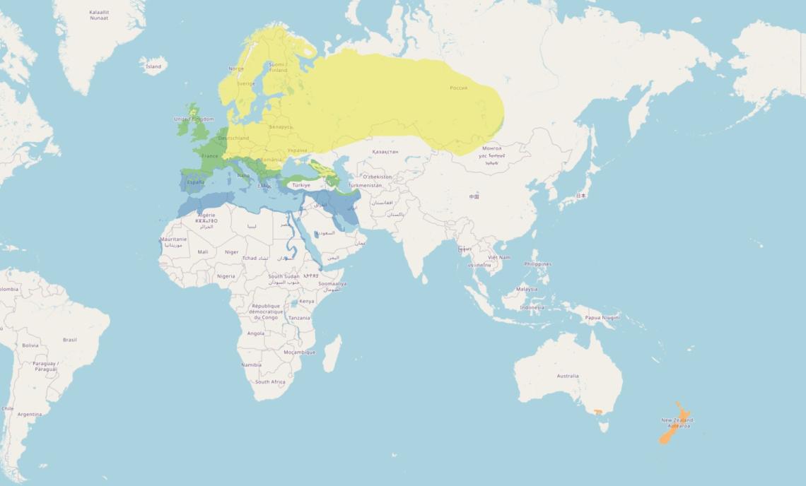 enekes_rigo_vilagelterjedes_birdlifedatazone.com_2026.jpeg