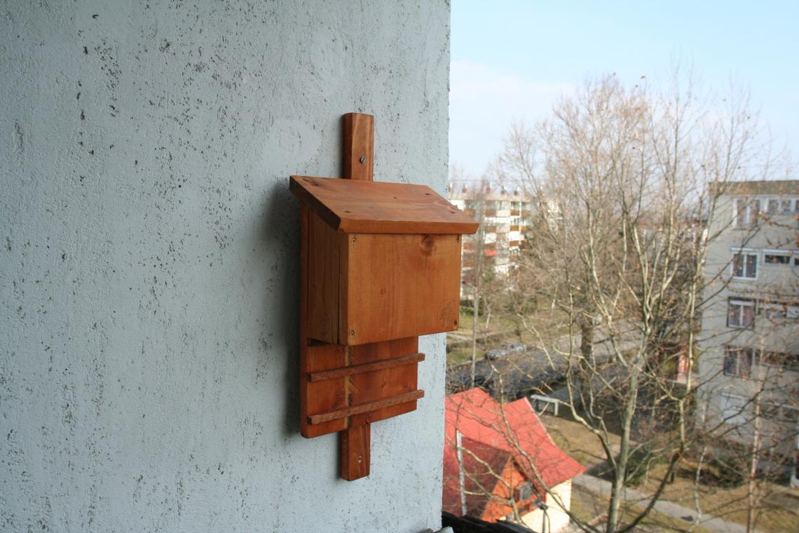 denever_odu_Orban_Zoltan_0010.JPG