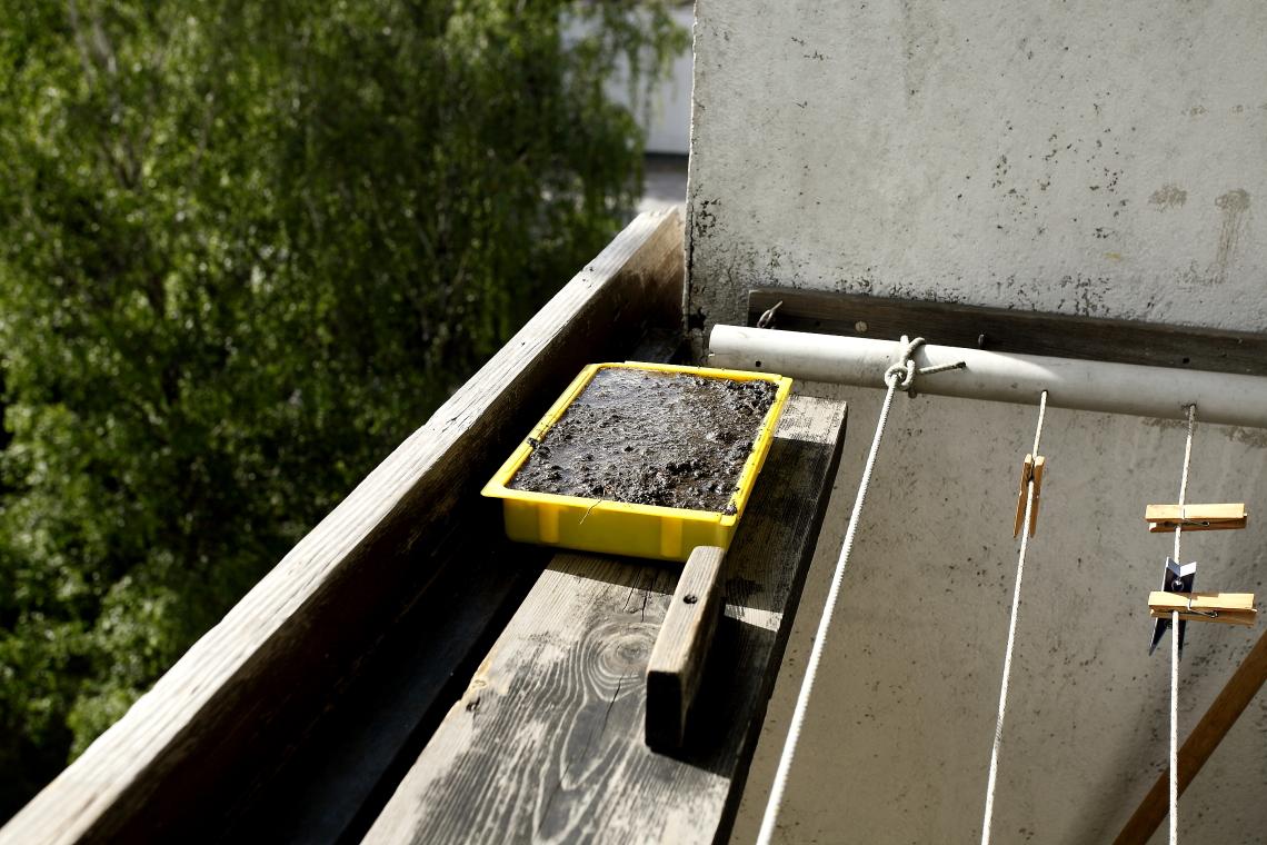 fecske_sargyujto_hely_talcas_panel_erkelyen_Dombovar_2012_Orban_Zoltan_0002.JPG 
