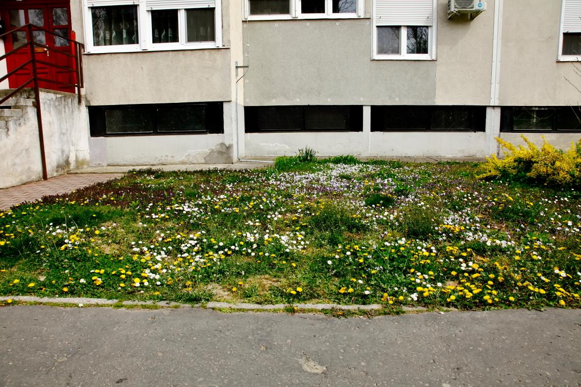 beporzolegelo_telepulesen_Dombovar_20210410_Orban_Zoltan_06.JPG