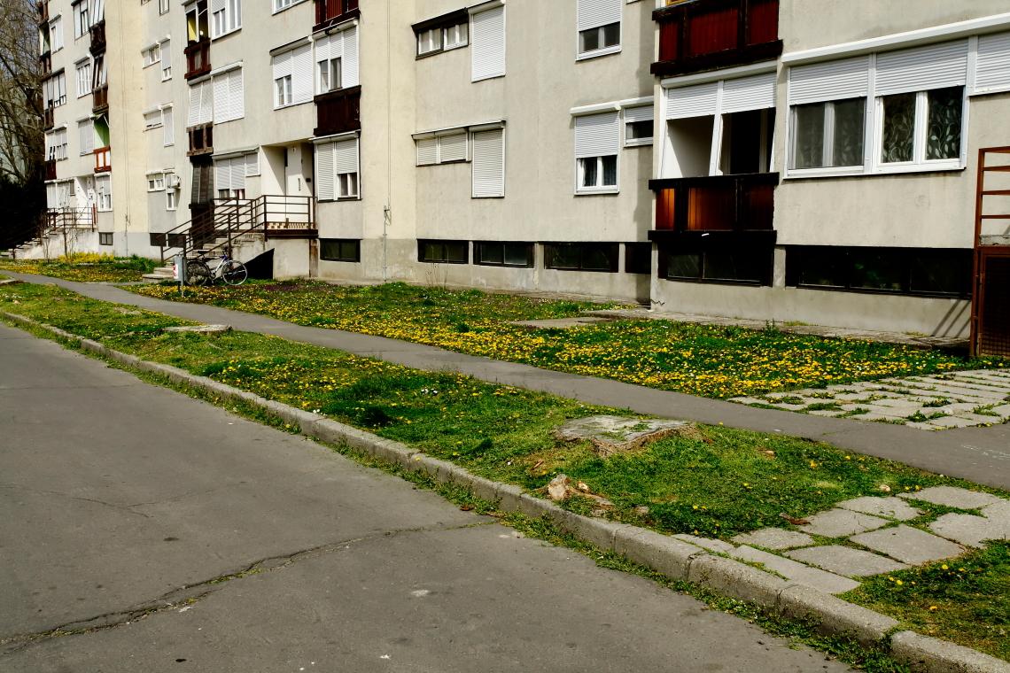beporzolegelo_telepulesen_Dombovar_20210410_Orban_Zoltan_18.JPG