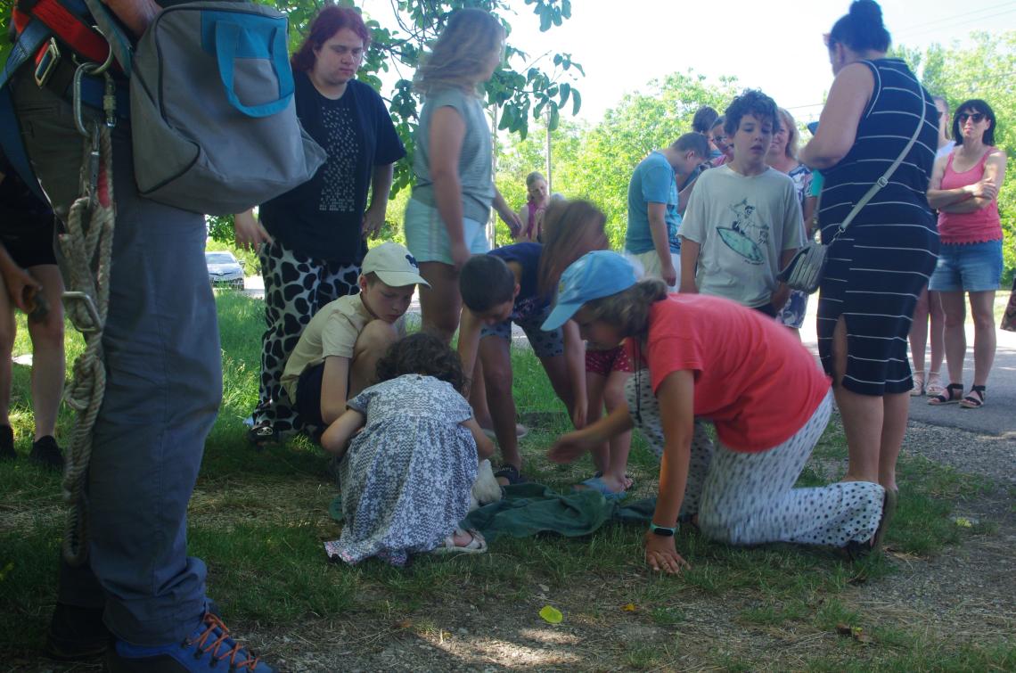 Az elmaradhatatlan simogatás