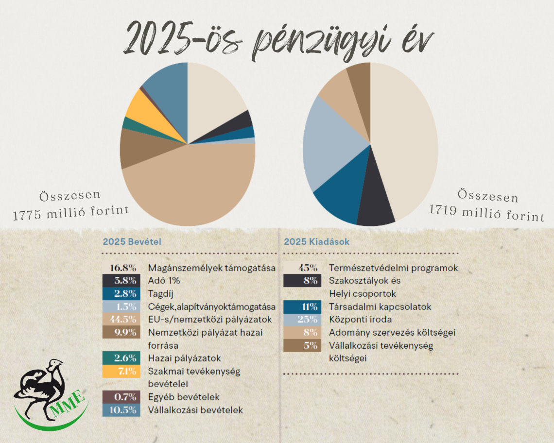 Pénzügyi áttekintés 2025