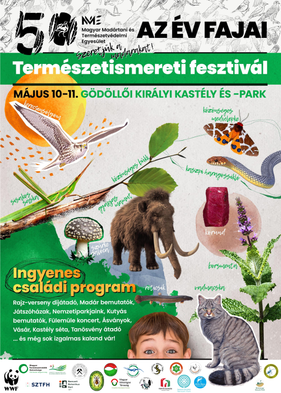 év fajai fesztivál poszter